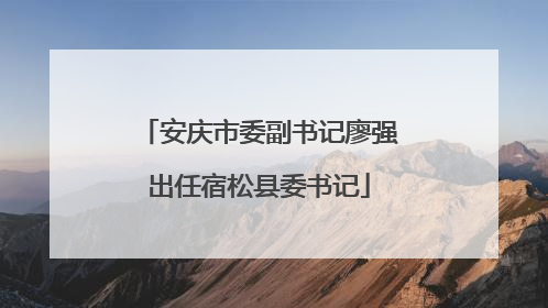 安庆市委副书记廖强出任宿松县委书记