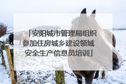 安阳城市管理局组织参加住房城乡建设领域安全生产信息员培训