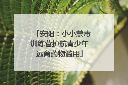 安阳：小小禁毒训练营护航青少年远离药物滥用