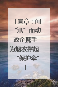 宜章：闻“汛”而动 政企携手为烟农撑起“保护伞”