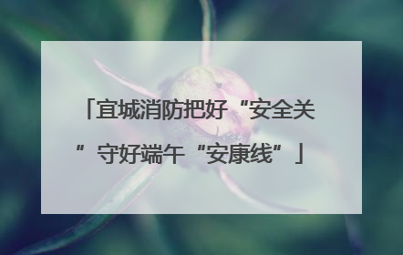 宜城消防把好“安全关”守好端午“安康线”