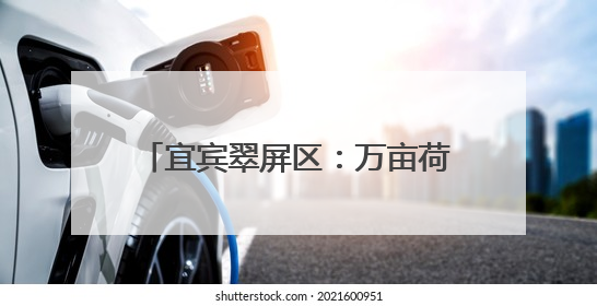 宜宾翠屏区：万亩荷塘绽放“美丽经济”