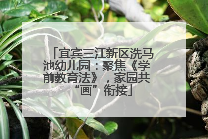 宜宾三江新区洗马池幼儿园：聚焦《学前教育法》，家园共“画”衔接