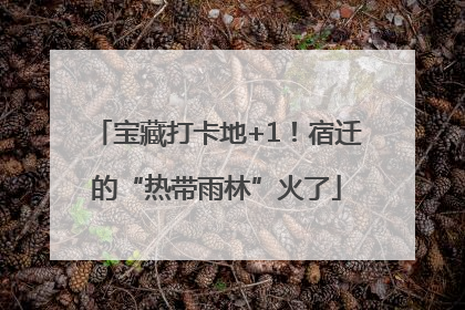 宝藏打卡地+1！宿迁的“热带雨林”火了