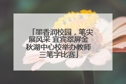墨香润校园，笔尖展风采 宜宾翠屏金秋湖中心校举办教师三笔字比赛
