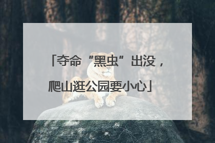 夺命“黑虫”出没，爬山逛公园要小心