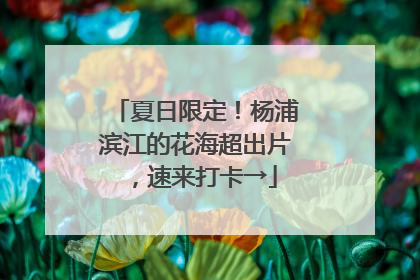夏日限定！杨浦滨江的花海超出片，速来打卡→
