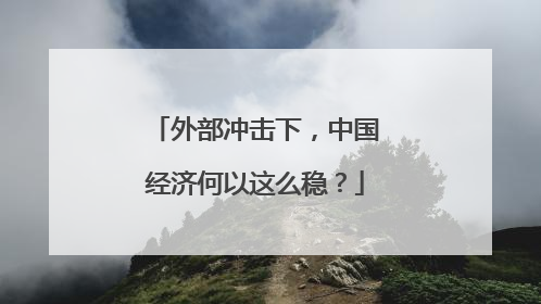 外部冲击下，中国经济何以这么稳？