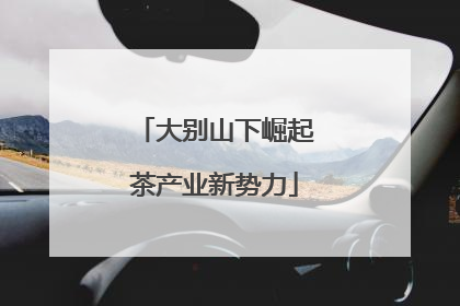 大别山下崛起茶产业新势力