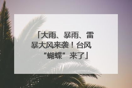 大雨、暴雨、雷暴大风来袭！台风“蝴蝶”来了