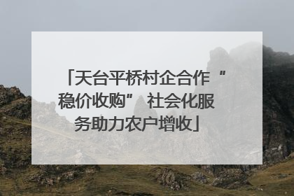 天台平桥村企合作“稳价收购” 社会化服务助力农户增收