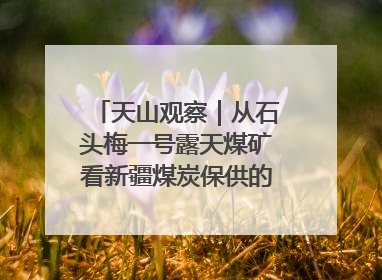 天山观察｜从石头梅一号露天煤矿看新疆煤炭保供的量与“智”