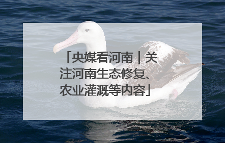 央媒看河南｜关注河南生态修复、农业灌溉等内容