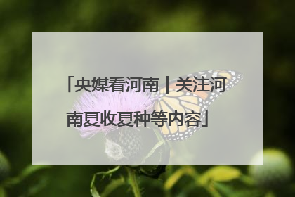 央媒看河南｜关注河南夏收夏种等内容