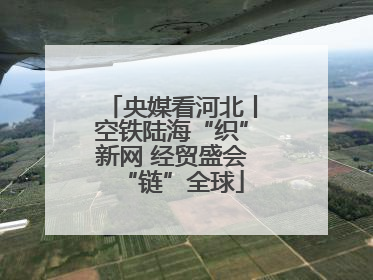 央媒看河北丨空铁陆海“织”新网 经贸盛会“链”全球