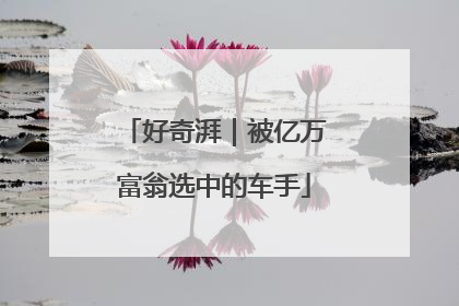 好奇湃｜被亿万富翁选中的车手