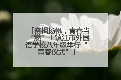 奋楫扬帆，青春当“燃”！镇江市外国语学校八年级举行“青春仪式”