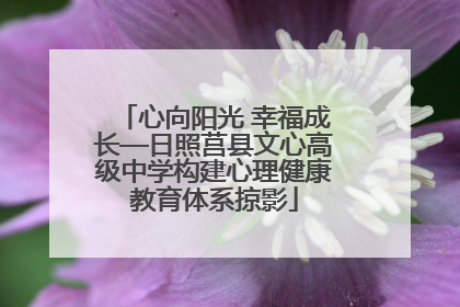 心向阳光 幸福成长—日照莒县文心高级中学构建心理健康教育体系掠影