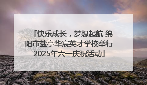快乐成长，梦想起航 绵阳市盐亭华宸英才学校举行2025年六一庆祝活动