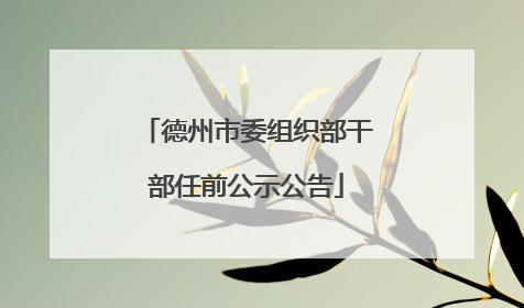 德州市委组织部干部任前公示公告