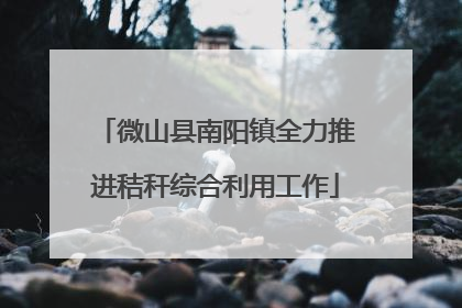 微山县南阳镇全力推进秸秆综合利用工作