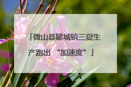 微山县驩城镇三夏生产跑出 “加速度”