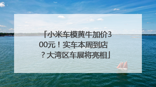 小米车模黄牛加价300元！实车本周到店？大湾区车展将亮相