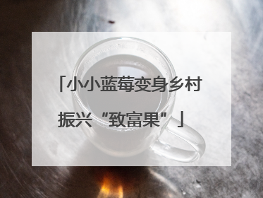 小小蓝莓变身乡村振兴“致富果”