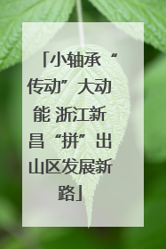 小轴承“传动”大动能 浙江新昌“拼”出山区发展新路