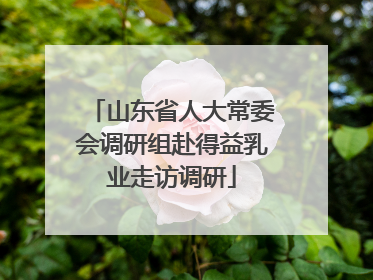 山东省人大常委会调研组赴得益乳业走访调研