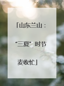 山东兰山：“三夏”时节麦收忙