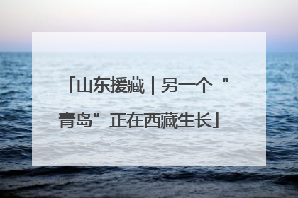山东援藏｜另一个“青岛”正在西藏生长