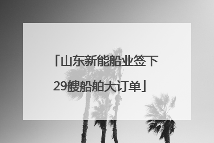 山东新能船业签下29艘船舶大订单