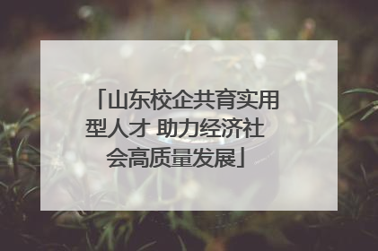 山东校企共育实用型人才 助力经济社会高质量发展