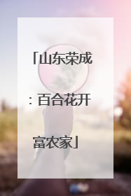山东荣成：百合花开富农家