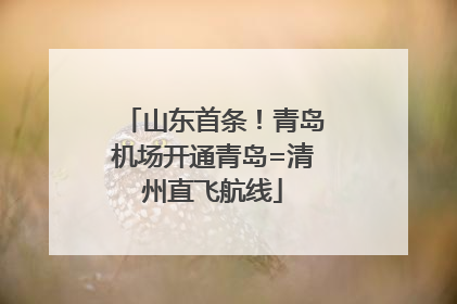 山东首条！青岛机场开通青岛=清州直飞航线