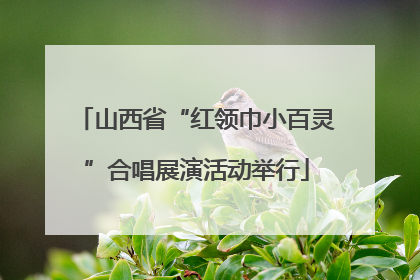 山西省“红领巾小百灵”合唱展演活动举行
