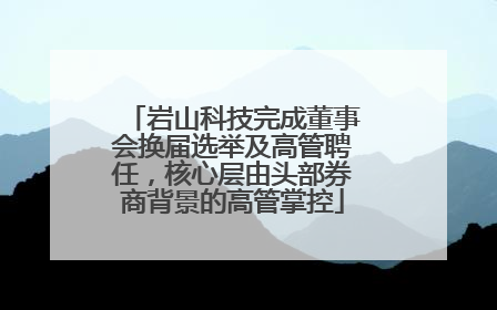 岩山科技完成董事会换届选举及高管聘任，核心层由头部券商背景的高管掌控