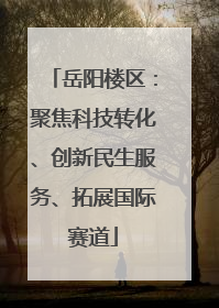 岳阳楼区：聚焦科技转化、创新民生服务、拓展国际赛道