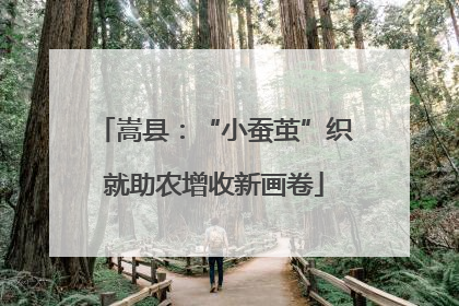 嵩县：“小蚕茧”织就助农增收新画卷