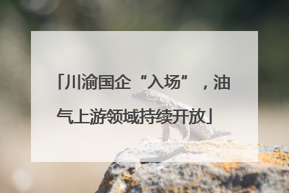 川渝国企“入场”，油气上游领域持续开放