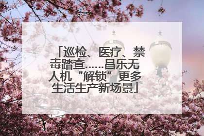 巡检、医疗、禁毒踏查……昌乐无人机“解锁”更多生活生产新场景