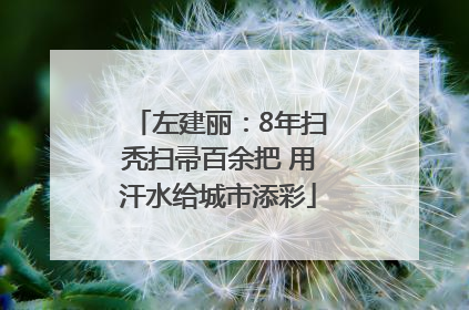 左建丽：8年扫秃扫帚百余把 用汗水给城市添彩