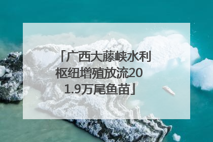 广西大藤峡水利枢纽增殖放流201.9万尾鱼苗
