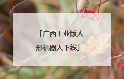 广西工业版人形机器人下线