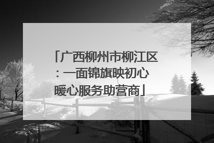 广西柳州市柳江区：一面锦旗映初心 暖心服务助营商