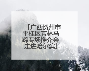 广西贺州市平桂区芳林马蹄专场推介会走进哈尔滨