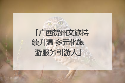 广西贺州文旅持续升温 多元化旅游服务引游人