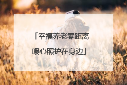 幸福养老零距离 暖心照护在身边