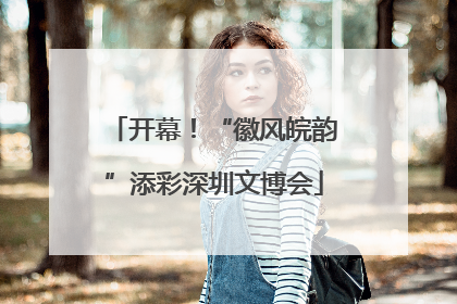 开幕！“徽风皖韵”添彩深圳文博会